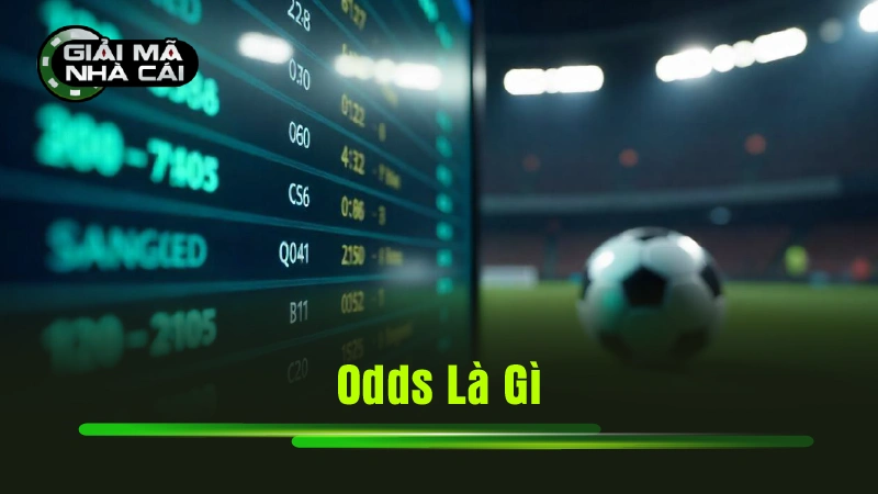 Odds Là Gì?