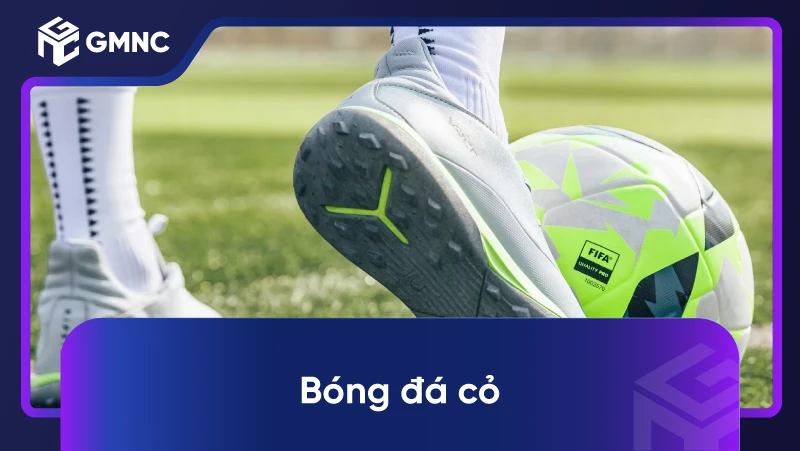 Bóng Đá Cỏ